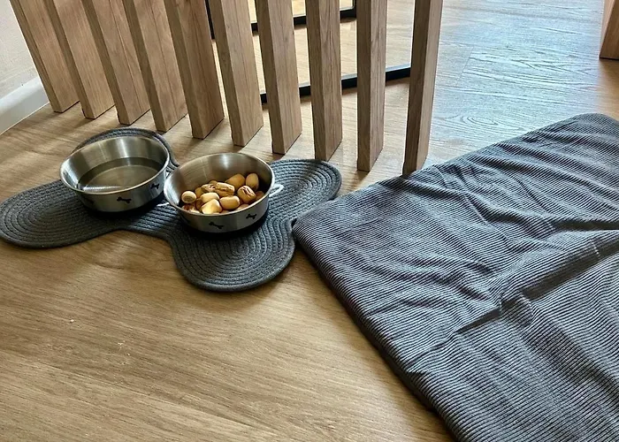 Bergzeit Hahnenklee 公寓 戈斯拉尔